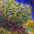 Lilac bush